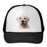 Labrador retriever hangover mesh hat