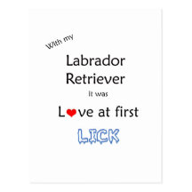 Labrador Retriever Lick Design Postcard