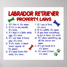 LABRADOR RETRIEVER PL2 PRINT