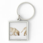 Labrador Retriever Puppy walking, montage Keychains