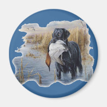 Labrador with Duck- Duck Hunting Fridge Magnet