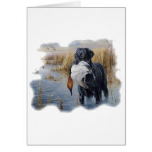 Labrador with Duck- Duck Hunting Greeting Cards