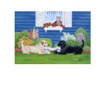 Labradors in the garden