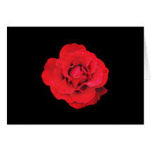 Lady Boo Red Rose Note Card