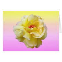 Lady Boo Yellow Rose Greeting Card