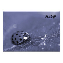 Lady Bug Personalized Invite