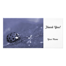 Lady Bug Photo Cards