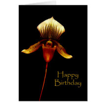 Lady Slipper Orchid Birthday Cards