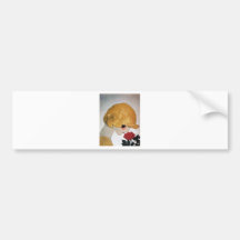 LADY WITH RED ROSE BUMPER STICKER