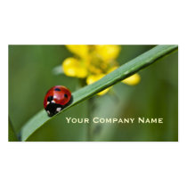 Ladybird on grass blade Custom Business Cards business cards