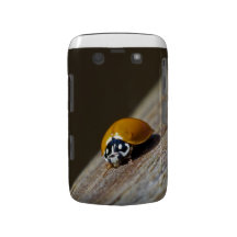 Ladybug Blackberry Case