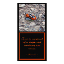 Ladybug Kisses Photo Greeting Card