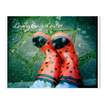 Ladybug love post card