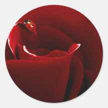 Ladybug Love Round Stickers