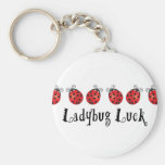 Ladybug Luck Key Chain