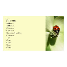 Ladybug Nature Photography Profile Business Card