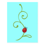 Ladybug on Vine Post Cards