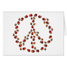 Ladybug Peace Card