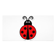 ladybug photo cards