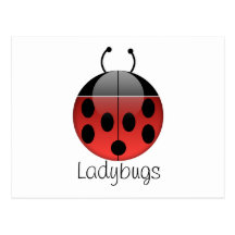 Ladybug Series 2 Postcard