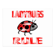LADYBUGS RULE POST CARD