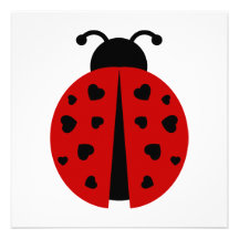 ladybugz. custom invitation