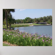 Lagoon and Flowers Poster