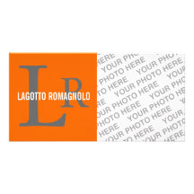 Lagotto Romagnolo Breed Monogram Customised Photo Card
