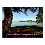 Lahaina Maui Scenic Postcard