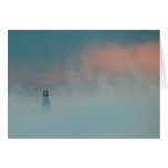 Lake Champlain Steam Cards