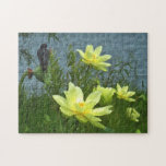 Lake Lotus & Swallow Puzzle puzzles