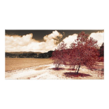 Lake shore photo cards
