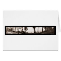 Lake Tahoe Point Photo 1906 Greeting Cards