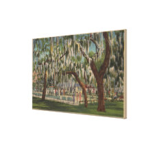 Lake Wales, FL - Outdoor View of Shuffleboard Gallery Wrap Canvas