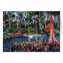 Lake Wales Florida Cypress Swamp and Boat Card