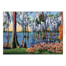 Lake Wales Florida Cypress Swamp Card