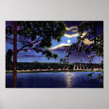 Lake Wales Florida Moonlight over Orange Grove Print