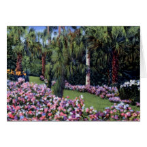 Lake Wales Florida Mountain Lake Sanctuary Greeting Card