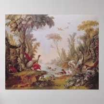 Lake with geese, storks, parrots and herons poster