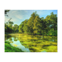 Lakeside Canvas Print