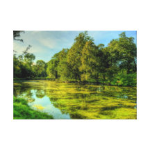 Lakeside Stretched Canvas Prints