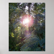 LALLA POSTER