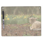 Lamb Dry Erase Board