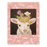 lamb postcard