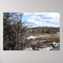 Landscape at Peggy's Cove Posters