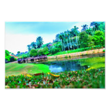 landscape garden photo print
