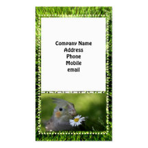 Landscaping Business Card