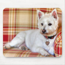 Lap Of Luxury Mousepads
