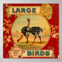 Large Birds Posters
