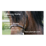 Large Draught   Horse Business Cards